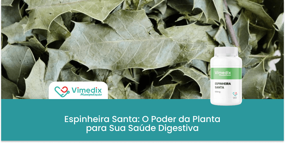 Espinheira Santa: O Poder da Planta para Sua Saúde Digestiva